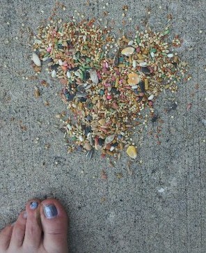 wpid-20120522_184123.jpg Bird Seed Heart Magic